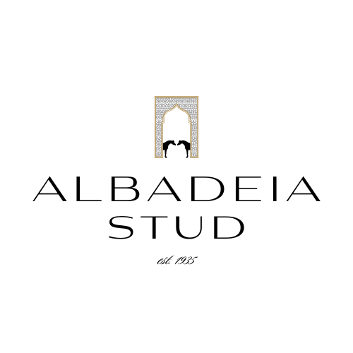 Albadeia Stud Website 